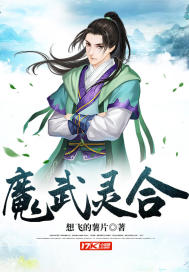 魔武大法师小说