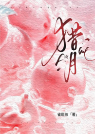 猎月通宝套装属性